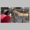 COPS Mar 2021 Level 1 USPSA Practical Match _ Stage 1 _Low Round Count-Easy Stage-Yeah Right 1.jpg